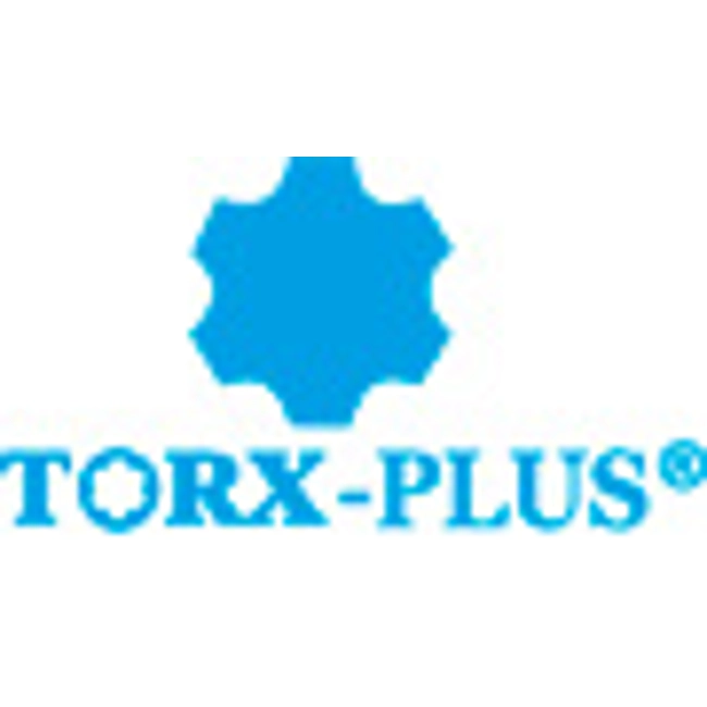 Vendita online GIRAVITI DINAMOMETRICI - LAME TORX PLUS®